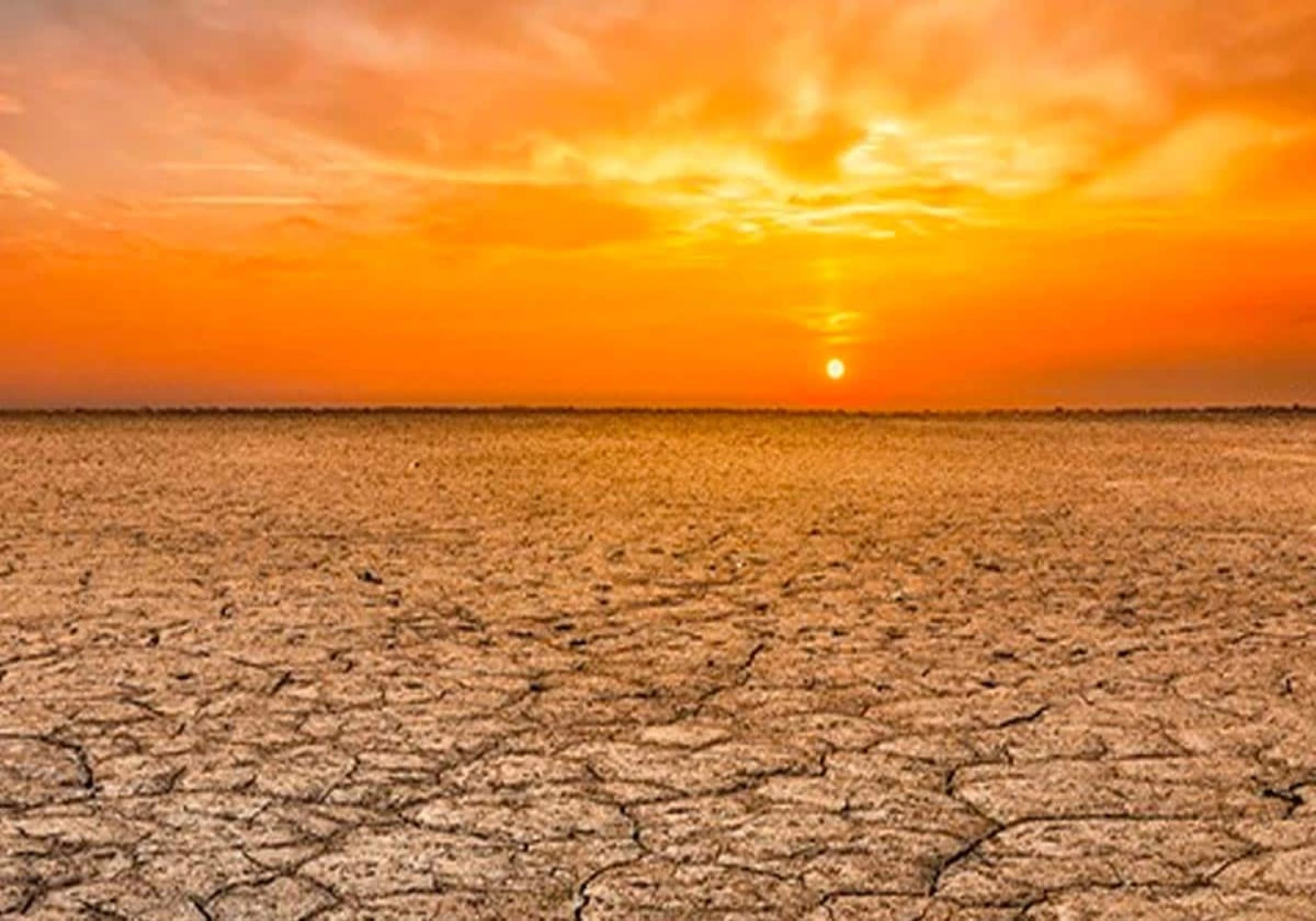 Deadly Heat Waves in North America Linked to Global Warming (35x More Likely)