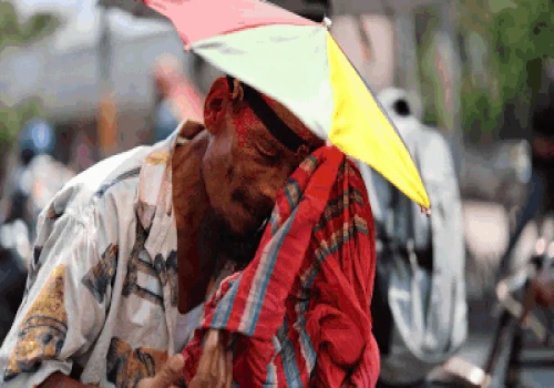 Heatwave Conditions To Continue Over Northwest India For 5 Days: IMD