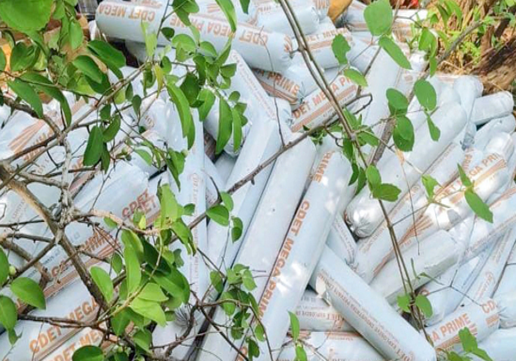 Naxals Trigger IED Blast in Chhattisgarh's Sukma District; Police Official, Others Injured