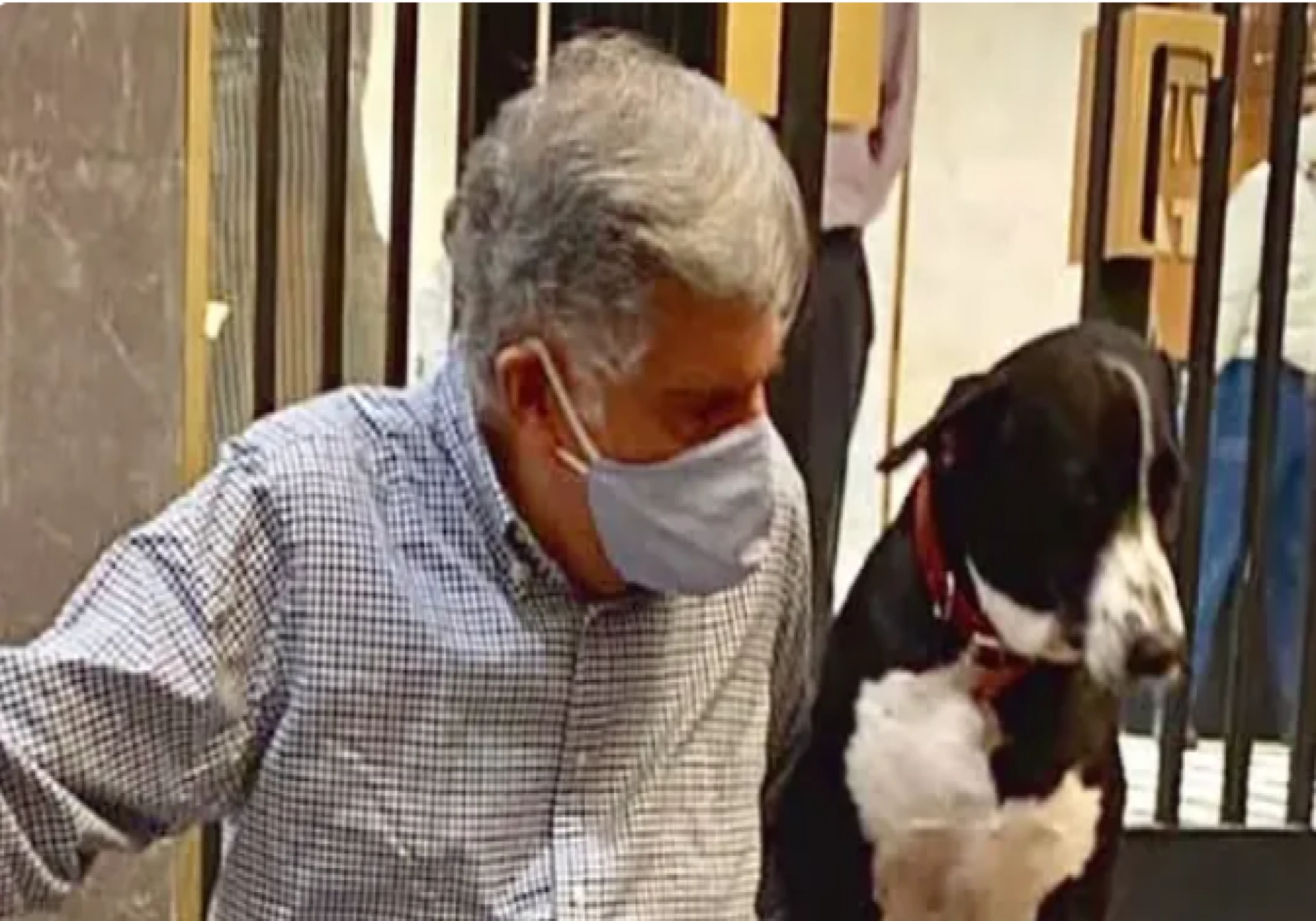 Ratan Tata’s Beloved Dog Goa Attends Annual ‘Blessing of the Animals’ Ceremony in Mumbai Ratan Tata’s Beloved Dog Goa Attends Annual ‘Blessing of the Animals’ Ceremony in Mumbai