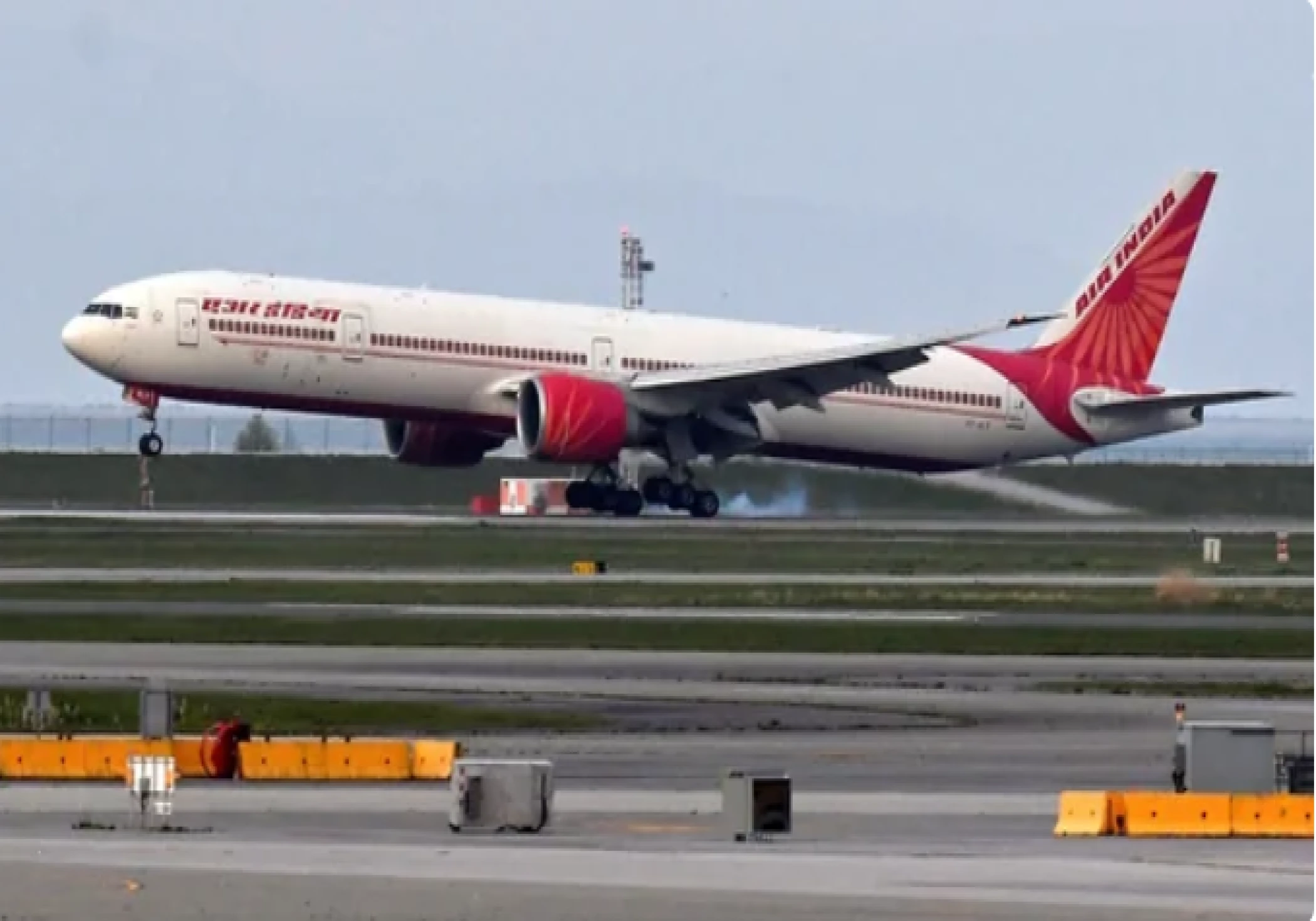 Air India Flight from Colombo to Chennai Cancelled After Bird Hit Air India Flight from Colombo to Chennai Cancelled After Bird Hit