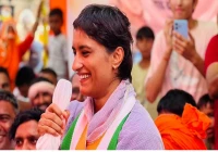 Vinesh Phogat Comes Out of Retirement, Targets LA 2028 Olympic Glory