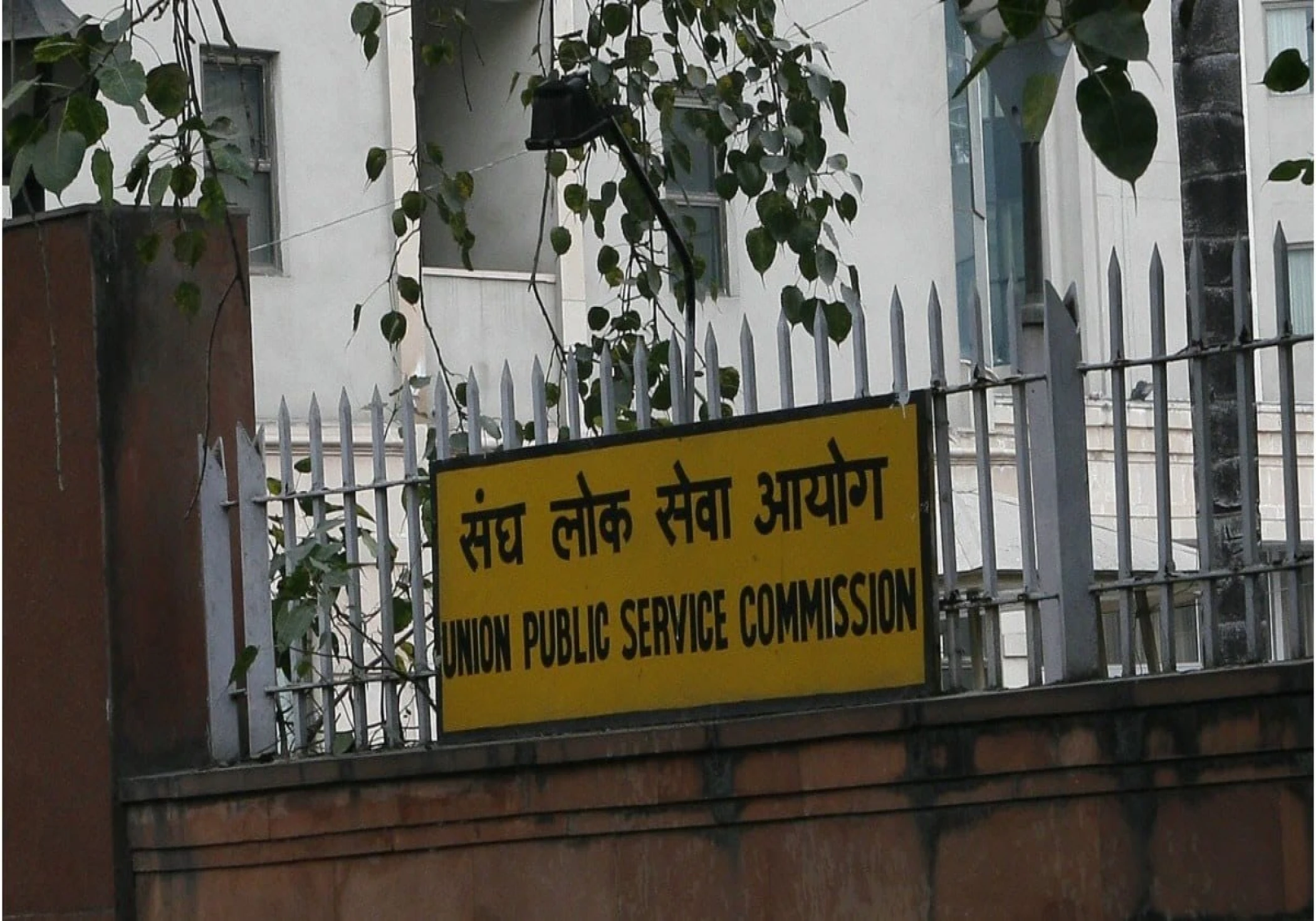 AIIMS Graduate Achieves Top Rank in Civil Services Exam on Third Attempt