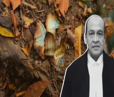 Resignation Submitted to President Amid Ongoing Controversy