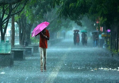 IMD Issues Heavy Rainfall Alerts for Madhya Pradesh, Rajasthan, Gujarat, Maharashtra, and Goa