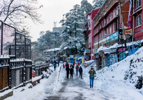 Christmas Snowfall Turns Shimla and Manali into Winter Wonderlands, but Leaves Chaos in Its Wake